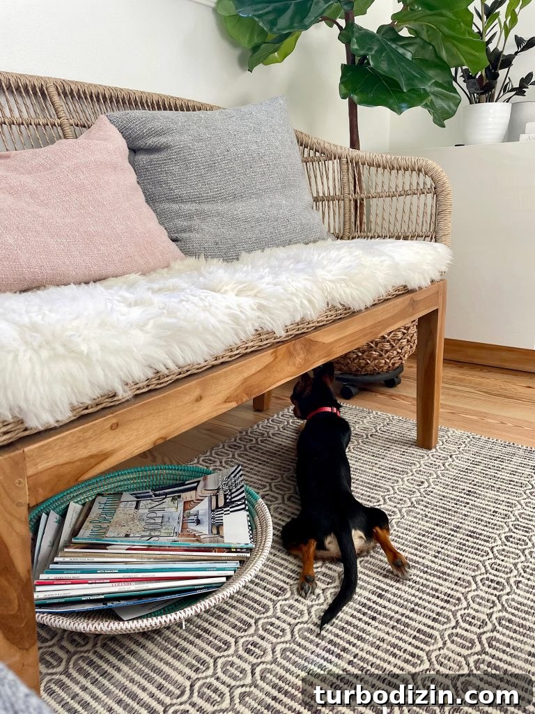 Meet Penny Petersik: Designer, Author, and Home Style Expert 15 Penny the Chorkie laying with legs out under woven bench