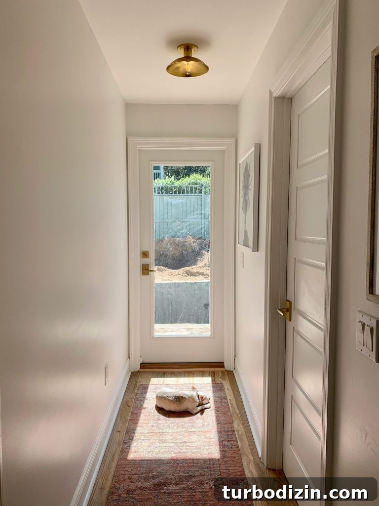 Meet Penny Petersik: Designer, Author, and Home Style Expert 3 Tan chihuahua laying in sun spot on rug
