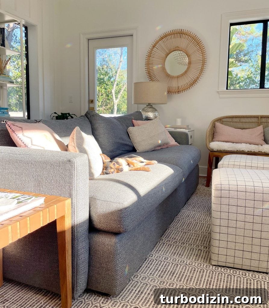 Meet Penny Petersik: Designer, Author, and Home Style Expert 18 Family room with rainbow prism on wall with dog resting on couch