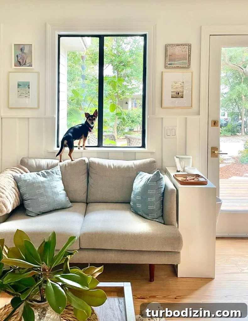 Meet Penny Petersik: Designer, Author, and Home Style Expert 19 Small dog standing in window sill on kitchen loveseat