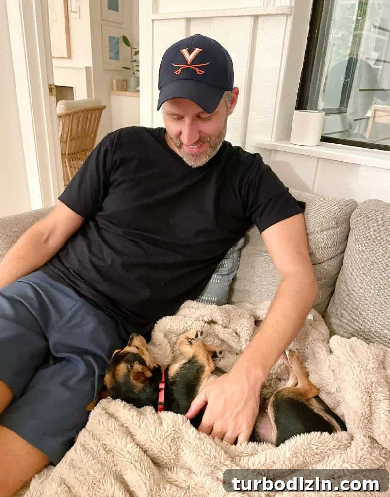 Meet Penny Petersik: Designer, Author, and Home Style Expert 9 Chorkie mix snuggled in blanket next to John on loveseat
