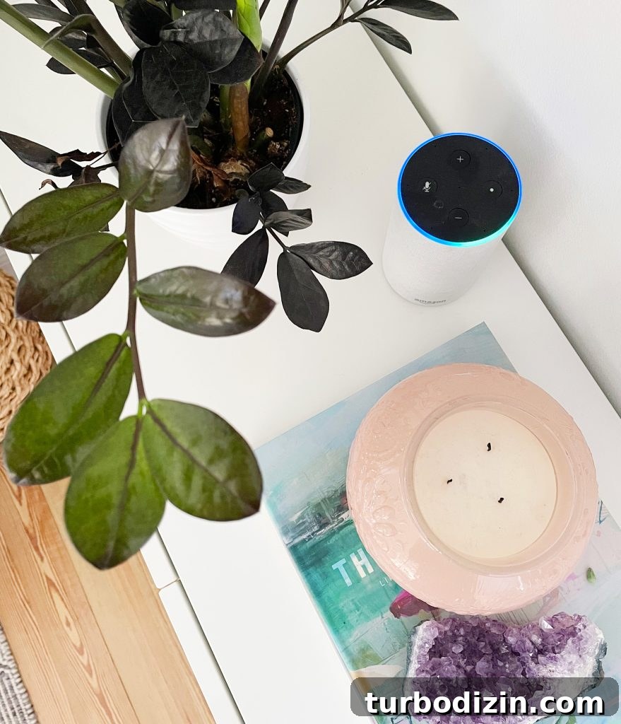 How to Install Smart Motorized Window Blinds 17 Amazon Echo Alexa Device On Table Next To Plant