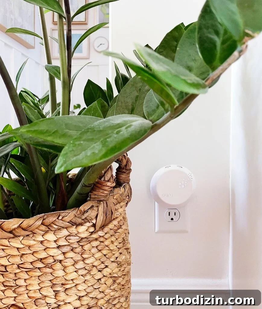 Top Smart Home Tech: Must-Have Devices for Modern Living 12 Pura Smart Fragrance Diffuser Plugged Into Wall By ZZ Plant