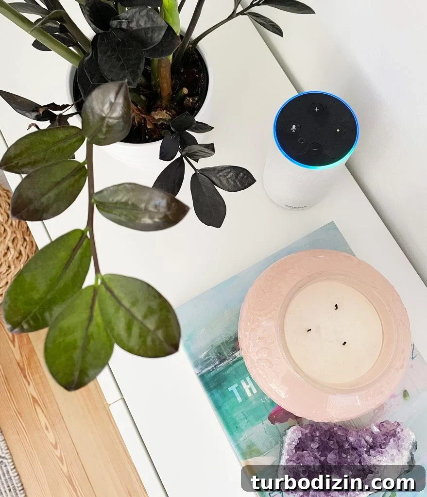 Top Smart Home Tech: Must-Have Devices for Modern Living 3 Amazon Echo Alexa Seen Overhead On Console Table