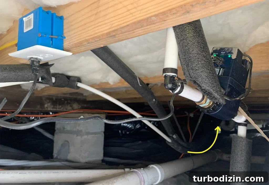 Top Smart Home Tech: Must-Have Devices for Modern Living 7 Flo By Moen Smart Water Monitoring Device In Crawl Space