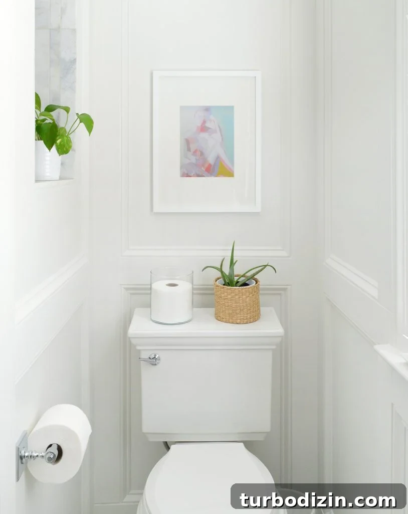 Our Favorite Toilet: A Complete Guide to the Top Pick 4 Kohler Memoirs Stately Toilet Detail In Traditional Bathroom with Wall Molding