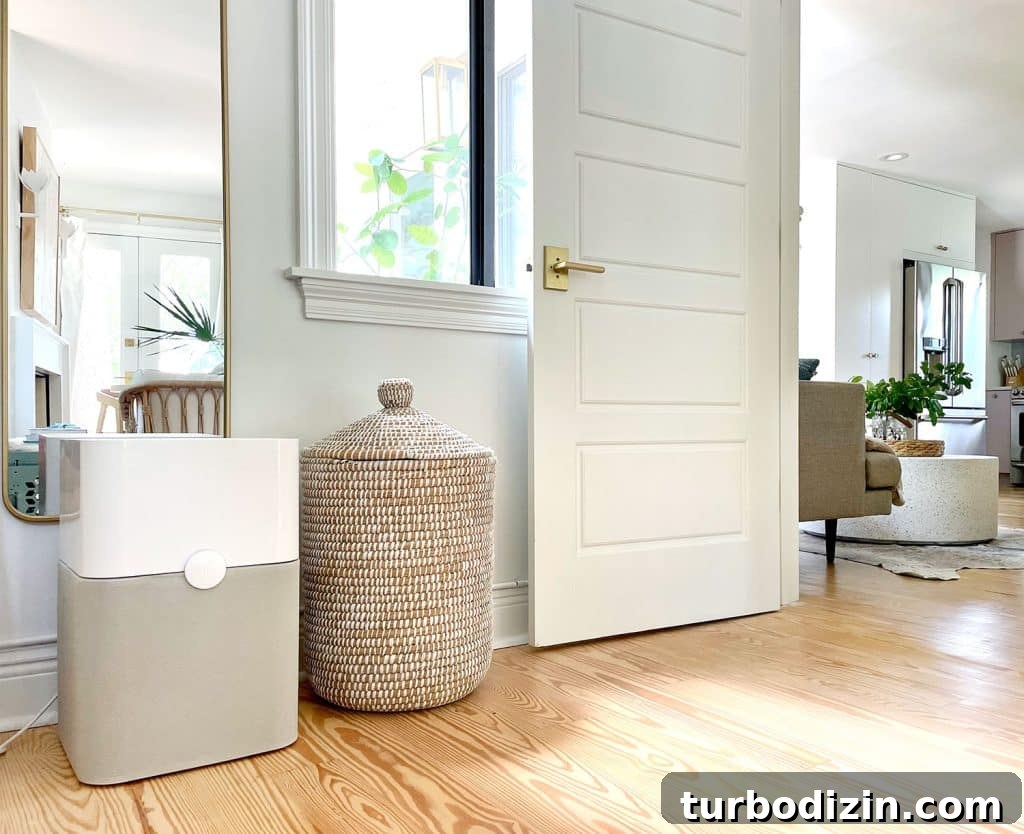 Top Home Air Purifiers for Cleaner Indoor Air 4 BlueAir Blue air purifier in bedroom next to door to kitchen