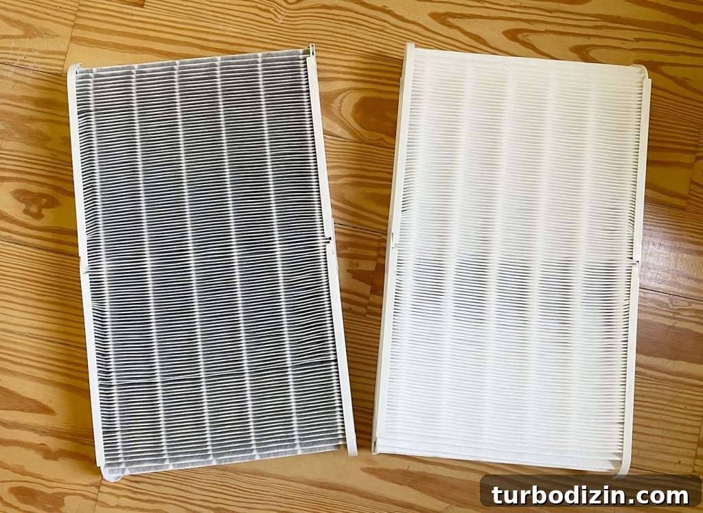 Top Home Air Purifiers for Cleaner Indoor Air 7 Blueair Blue 211 filter before and after