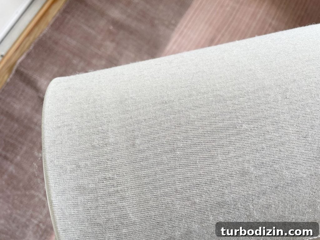 Top Home Air Purifiers for Cleaner Indoor Air 8 Blueair Air Purifier Dust On Prefilter Cover Detail
