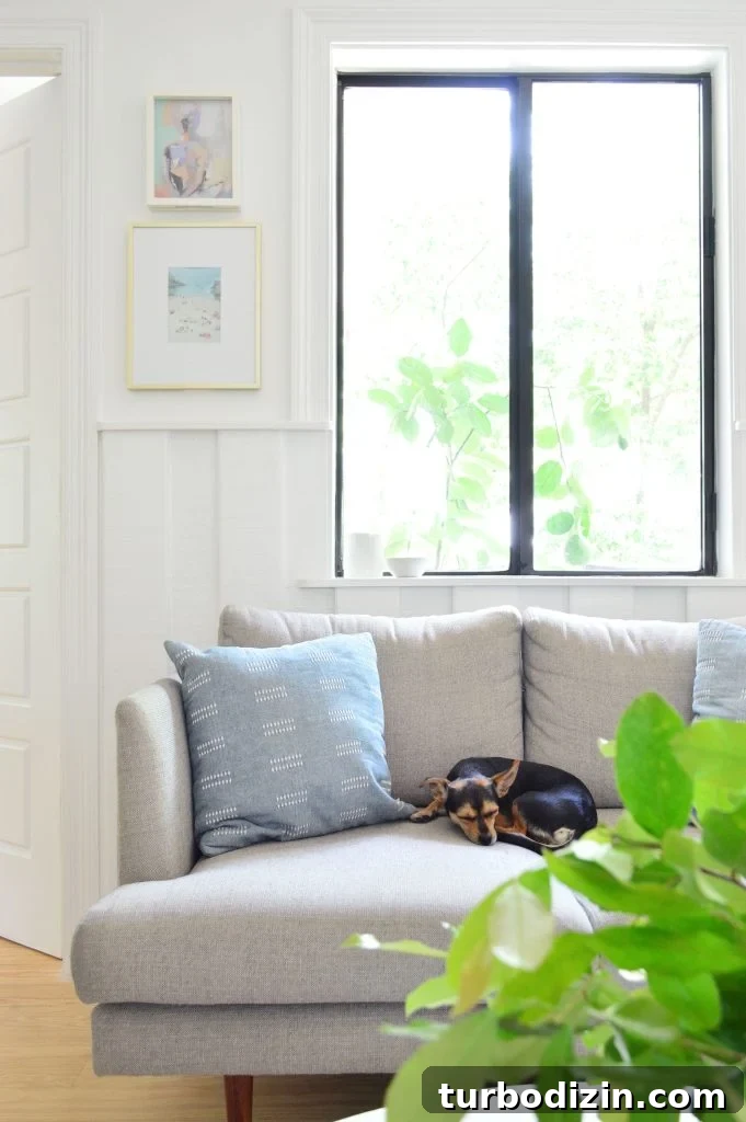 Ikea Kitchen Makeover: Smart Renovation Ideas for Small Spaces 20 Penny The Chorkie Sleeping On Gray Loveseat In Beachy Seating Area