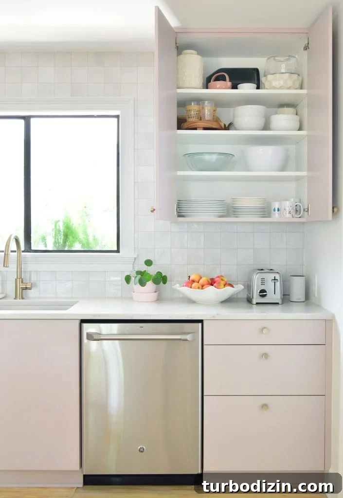 Small Ikea Kitchen Organization Ideas for Tight Spaces 15 Open View of Upper Cabinet In Painted Ikea Kitchen With Plate Storage