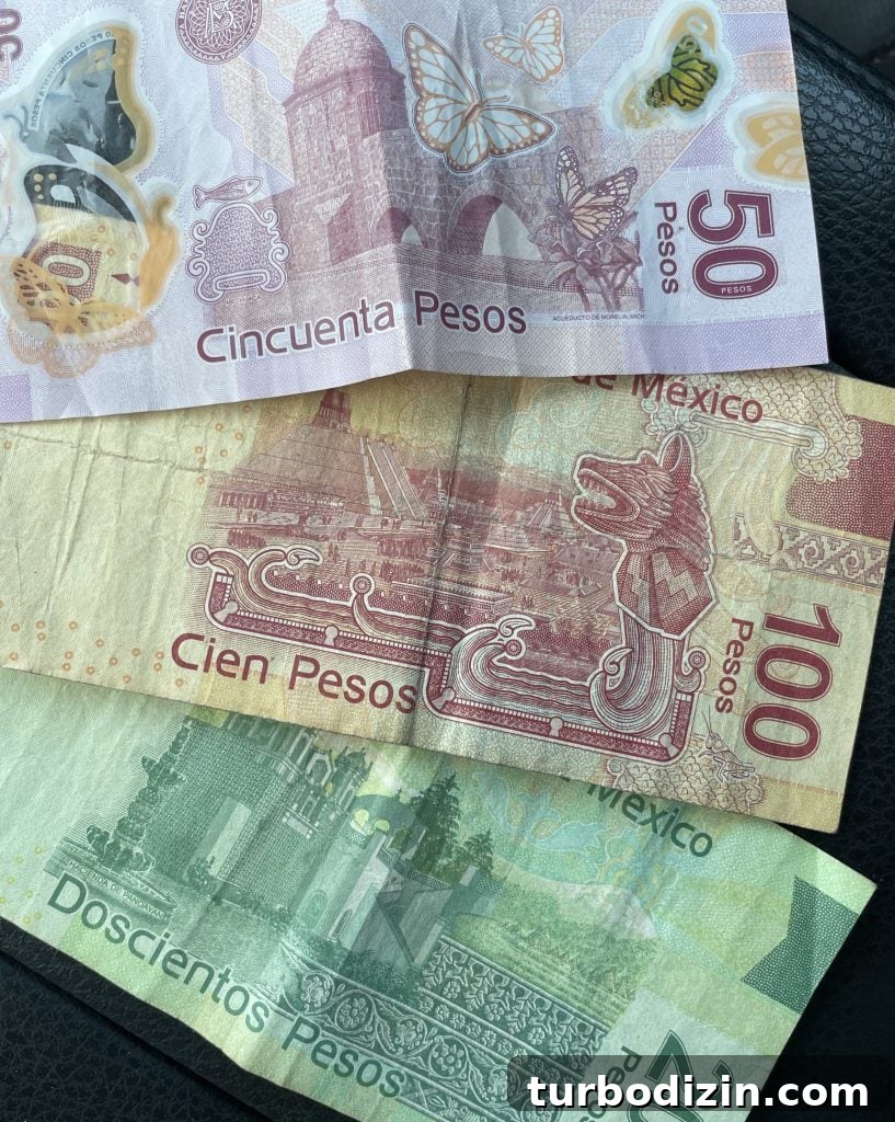 Traveling to Mexico with Kids and a Dog: Family Guide 9 Mexican Pesos Cash For Travelers