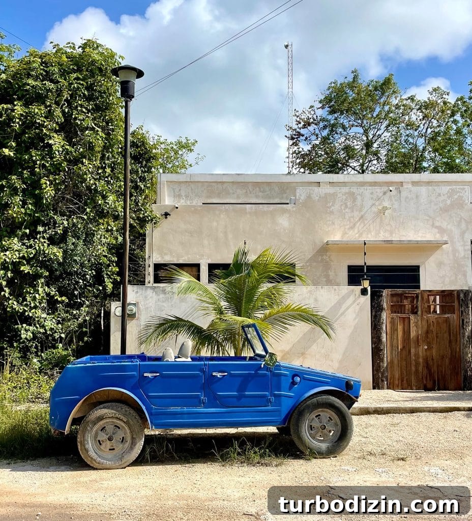 Traveling to Mexico with Kids and a Dog: Family Guide 10 Home In Tulum Mexico With Gate And Electric Fencing