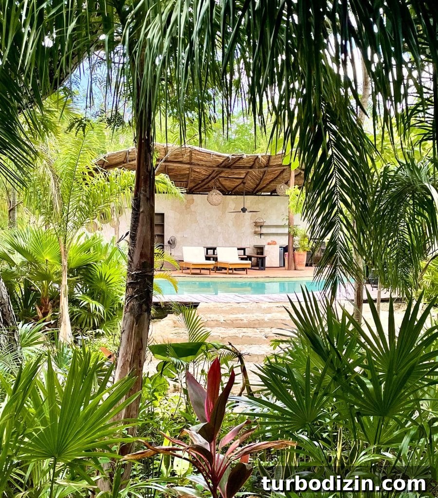 Traveling to Mexico with Kids and a Dog: Family Guide 4 Arkah Airbnb Rental In Akumal Mexico