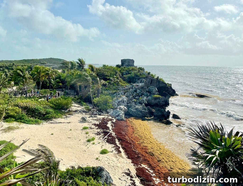 Traveling to Mexico with Kids and a Dog: Family Guide 18 Tulum Mayan Ruins Beach With Sargassum Algae Build Up