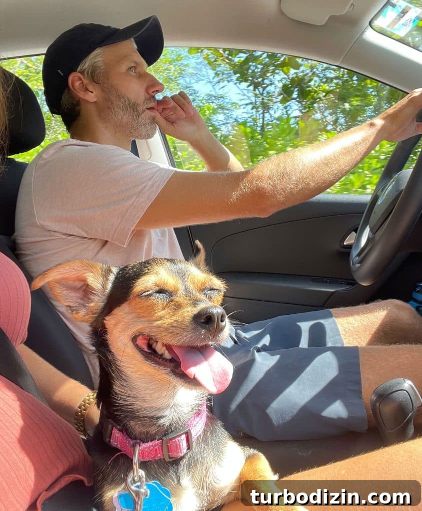 Traveling to Mexico with Kids and a Dog: Family Guide 6 John Driving In Mexico With Penny The Chorkie
