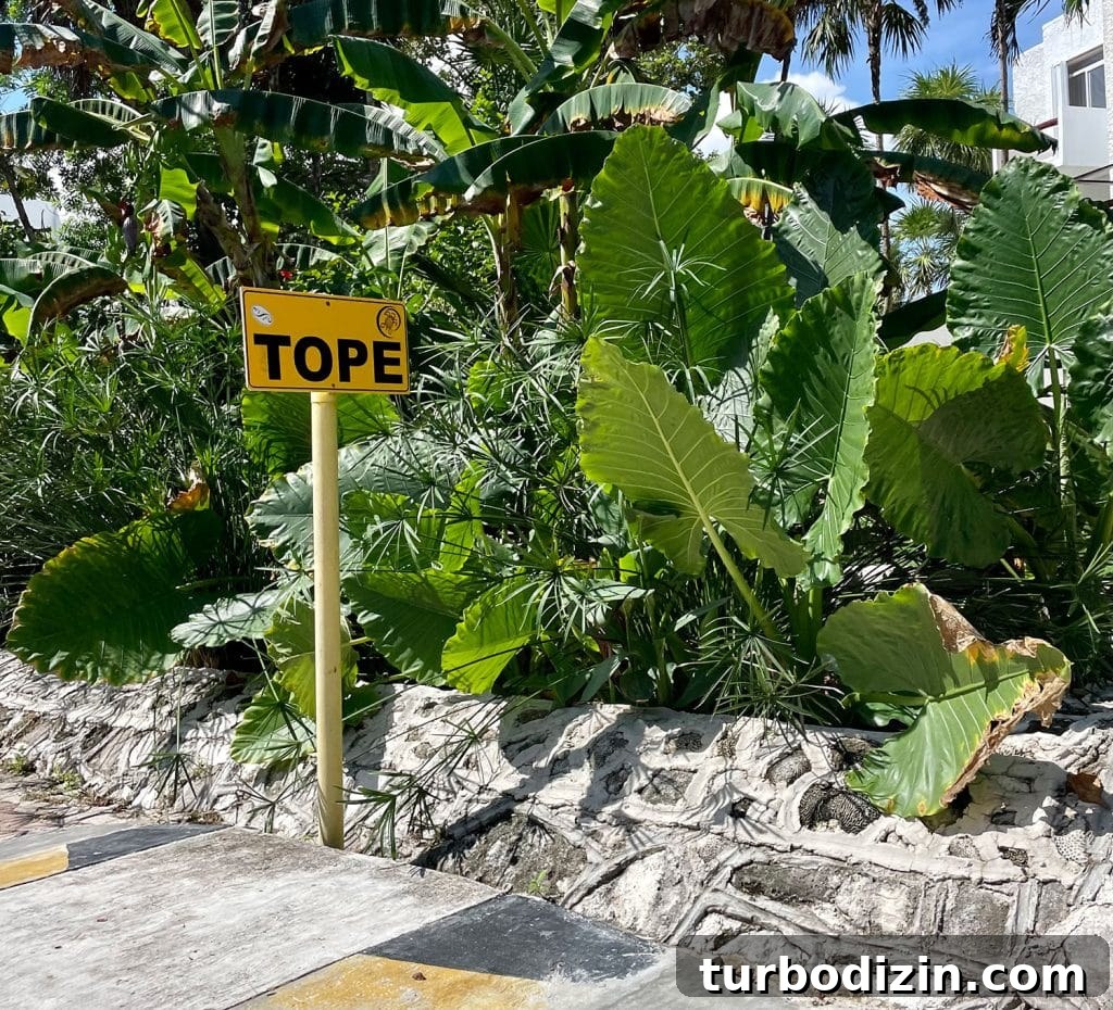 Traveling to Mexico with Kids and a Dog: Family Guide 7 Tope Speed Bump Sign In Akumal Mexico