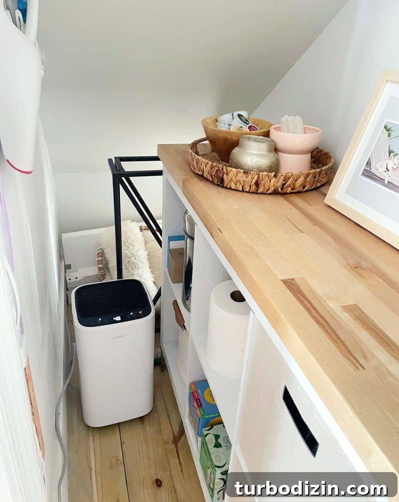 Under Stair Storage In Utility Closet With Cubby Storage
