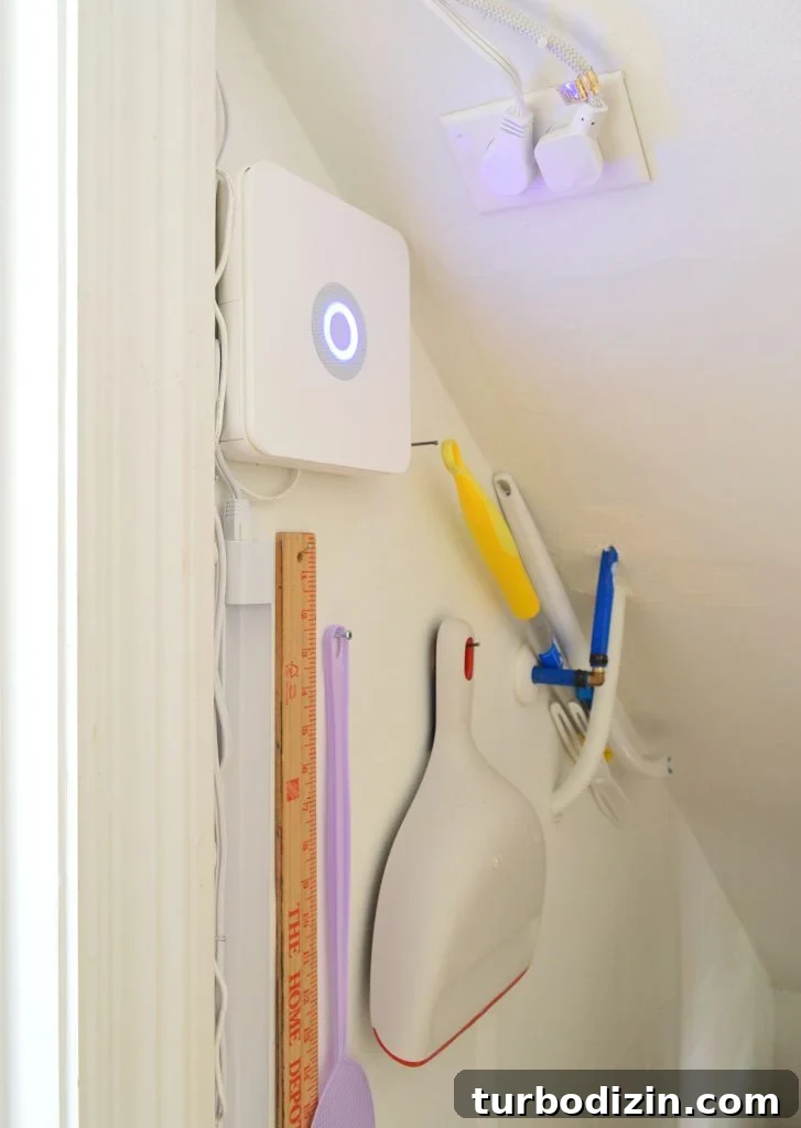 Inside Wall Of Utility Closet With Dustpan And Fly Swatter