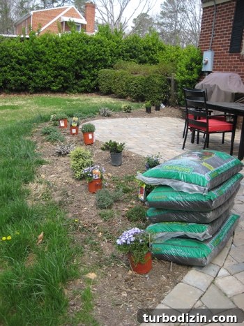 backgardeninprogress img 1067 2