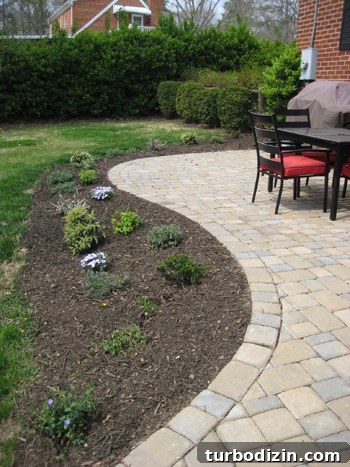 backgardeninprogress2 img 1067 3