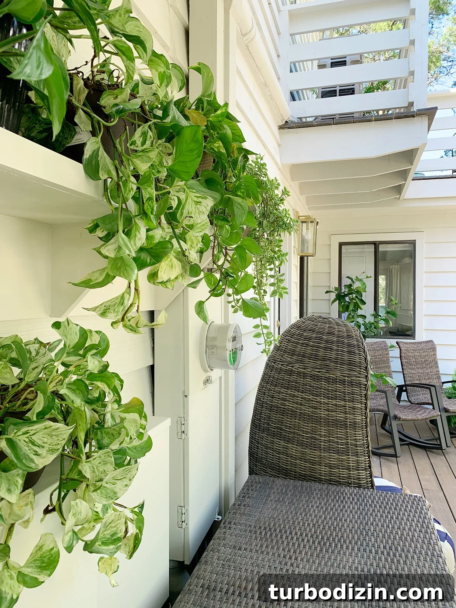 Camouflage a Utility Box: Step-by-Step Painting Guide 2 Disguising electrical utility boxes behind vining plants on an outdoor shelf
