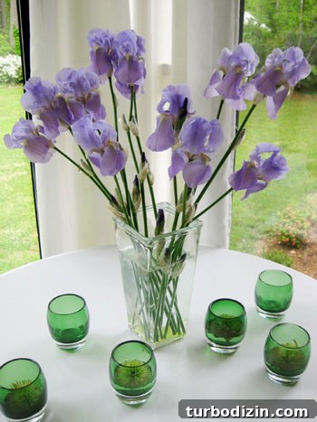 purple-iris