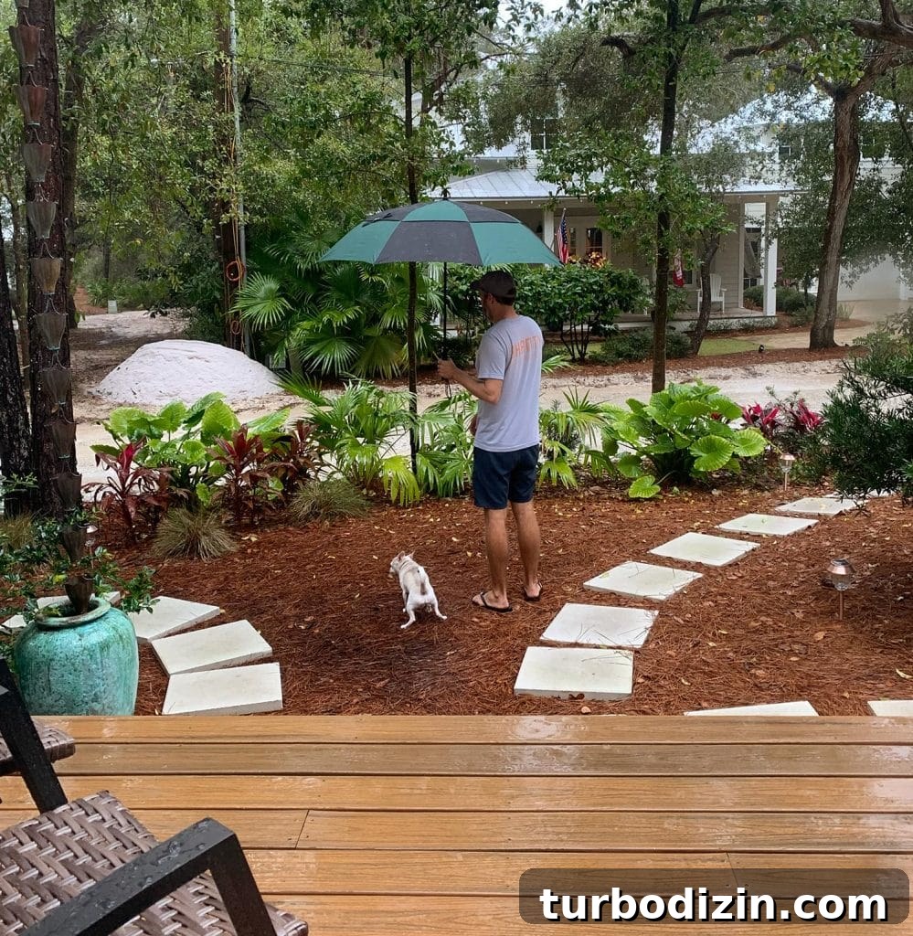 Burger Dog Peeing In Front Yard With John Holding Umbrella