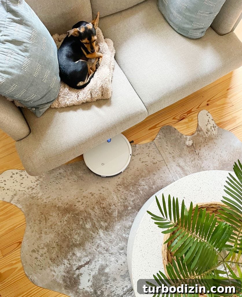 Are Robot Vacuums Worth the Investment? 12 Eufy RoboVac 11S Returning To Charging Station In Living Room
