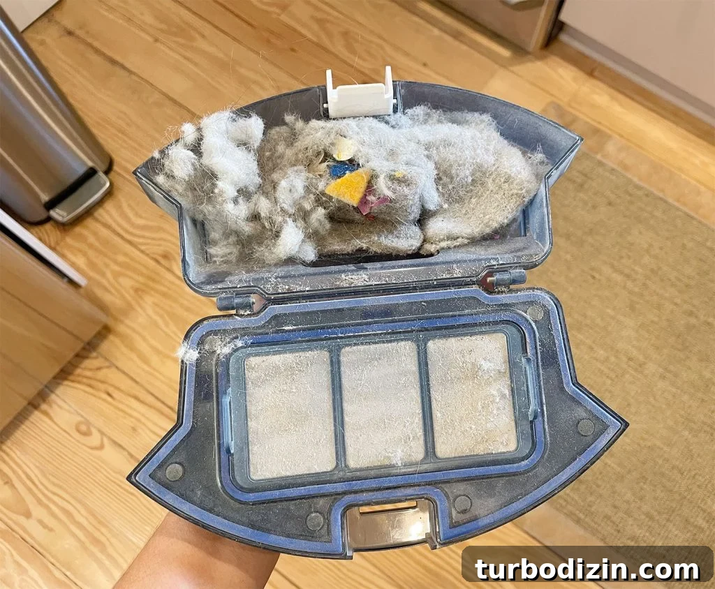 Are Robot Vacuums Worth the Investment? 13 Eufy RoboVac 11S Dust Compartment Full After One Cleaning