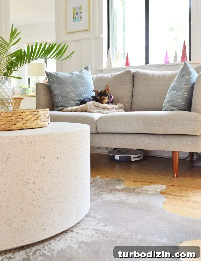 Are Robot Vacuums Worth the Investment? 7 Eufy RoboVac 11S Charging Under Couch In Living Room With Dog