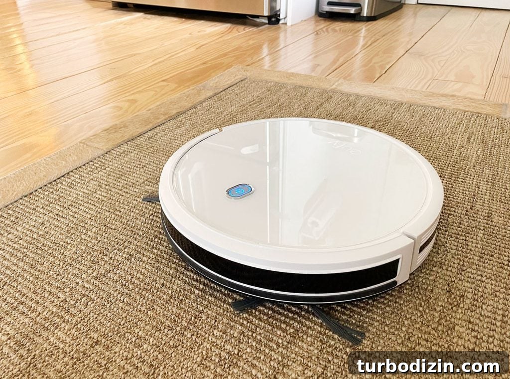 Are Robot Vacuums Worth the Investment? 9 Eufy RoboVac 11S On Jute Runner With Side Whiskers Out