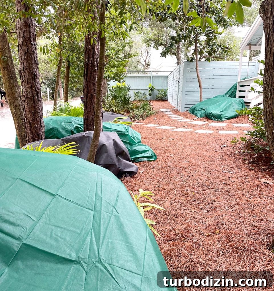 5 Smart Ways to Prevent Pipes from Freezing This Winter 10 Outdoor plants covered with frost blankets during Florida freeze event