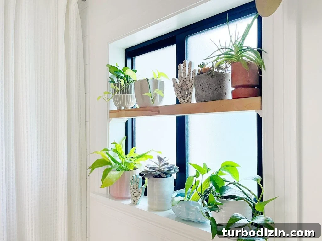 DIY window shelf with plants in pots in bathroom