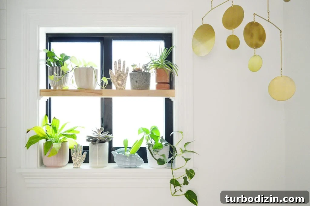 Window plant shelf with gold mobile in bathroom