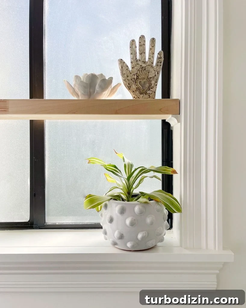 Floating Wood Shelf In Simple White Bathroom With Plants