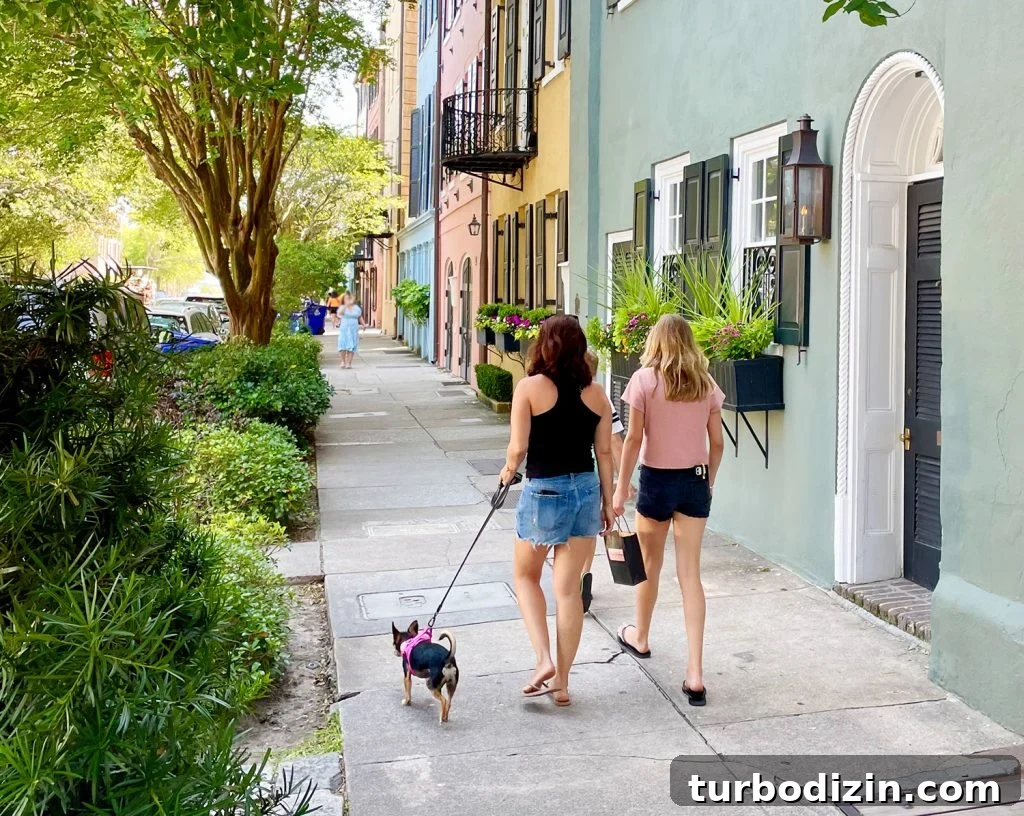Family Weekend Guide: Things to Do in Charleston, SC with Kids 10 Family With Dog And Children Walking On Rainbow Row In Charleston South Carolina