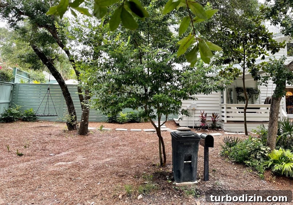 Before photo of future driveway area of front of the house