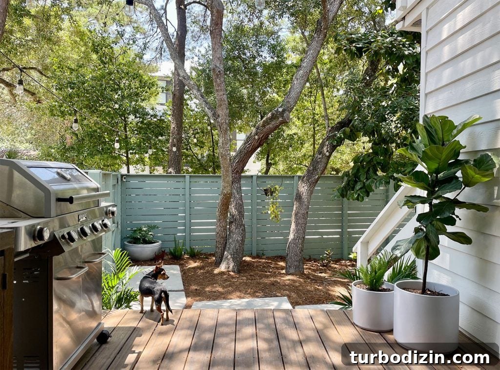View From Kitchen Porch Into Side Yard With Dog On Trex