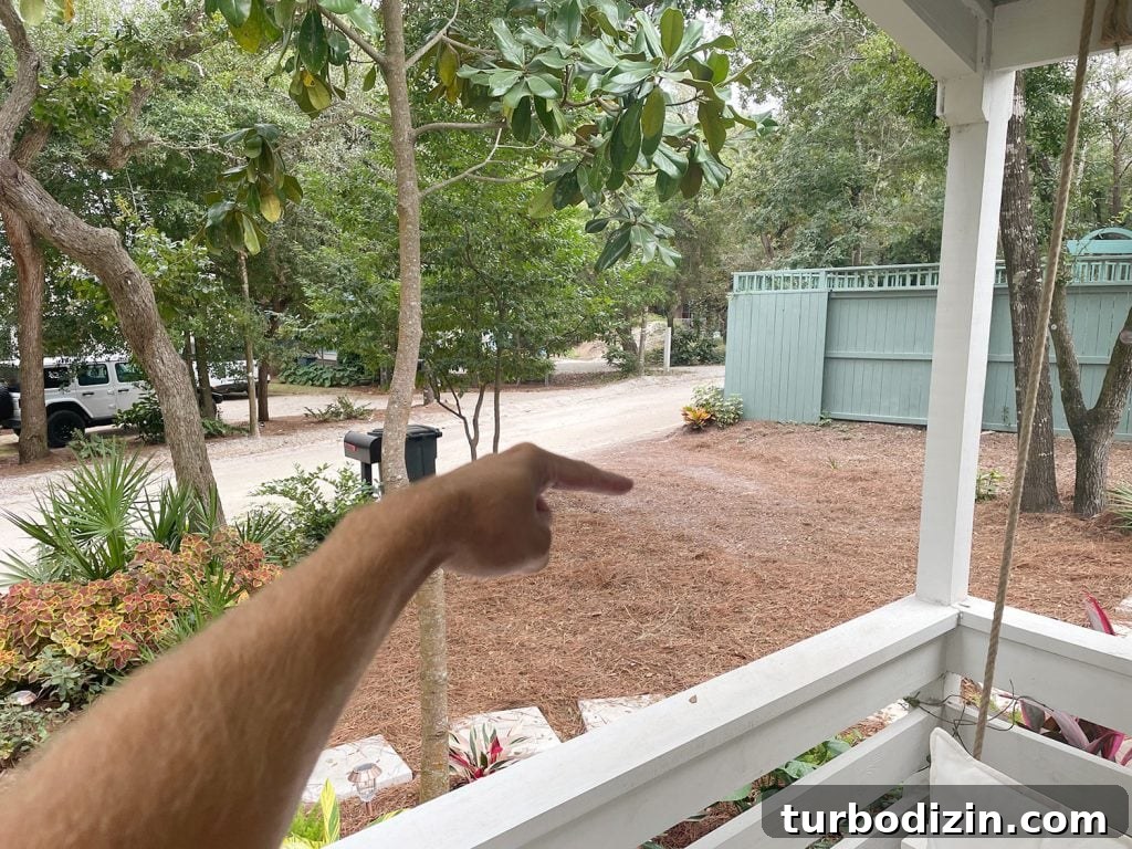 Finger Pointing to Spot In Pine Straw For Car To Park