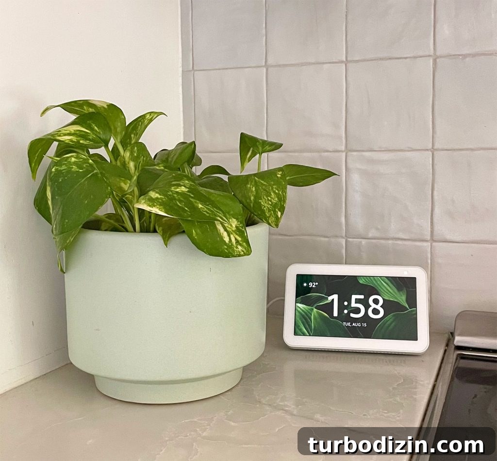 Episode 183: What’s Next, House Vibes, and Another Awkward Moment 17 Amazon Echo Show 5 With Tropical Plant Clock Screensaver