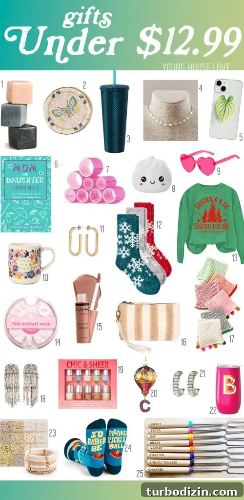2023 Holiday Gift Guides: Top Picks by Category and Price 16 Holiday Gift Guide Affordable Ideas Under Thirteen Dollars