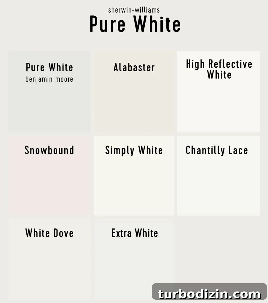 Sherwin-Williams Pure White SW 7005: Ideal Whole-House Paint Color 11 img 112129 11
