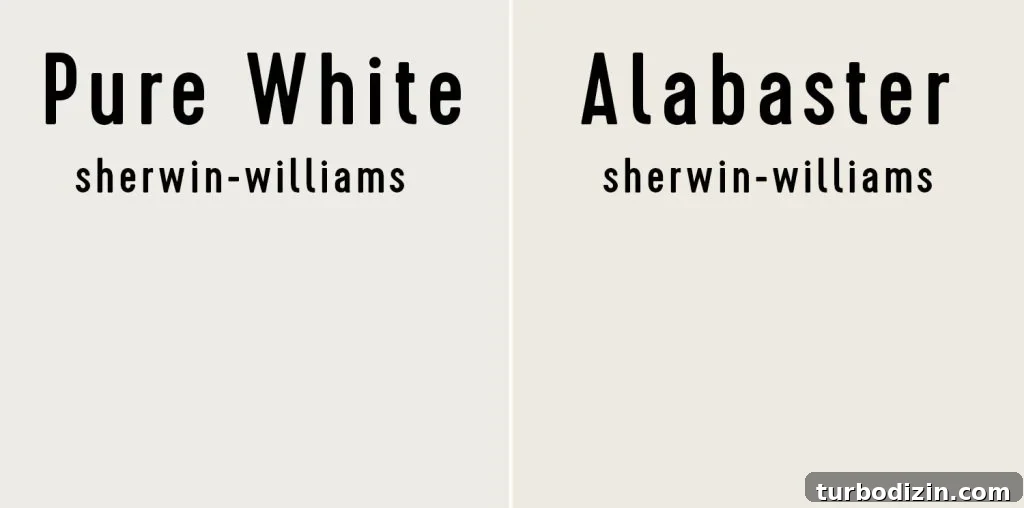 Sherwin-Williams Pure White SW 7005: Ideal Whole-House Paint Color 13 Side by side of Sherwin-Williams Pure White and Sherwin Williams Alabaster