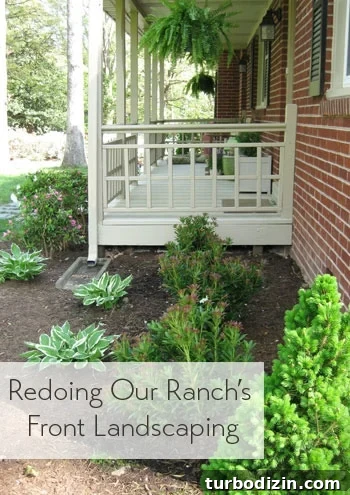 Front Yard Makeover: Transforming Our Ranch-Style Landscaping 2 redoing-our-ranches-front-landscaping