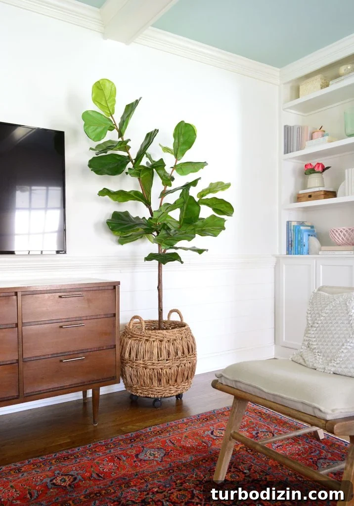 Benjamin Moore Simply White OC-117: In-Depth Color Review 9 Living Room Benjamin Moore Simply White Walls And Beams With Faux Fig Tree
