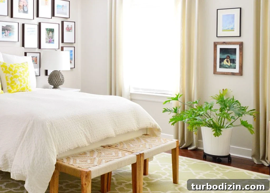 Tree Philodendron Care Guide: Growing Tips for Lush Indoor Plants 2 Tree Philodendron Selloum In Corner Of Bedroom