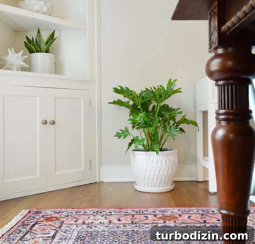 Tree Philodendron Care Guide: Growing Tips for Lush Indoor Plants 5 Tree Philodendron Hope Selloum In Corner Of Dining Room