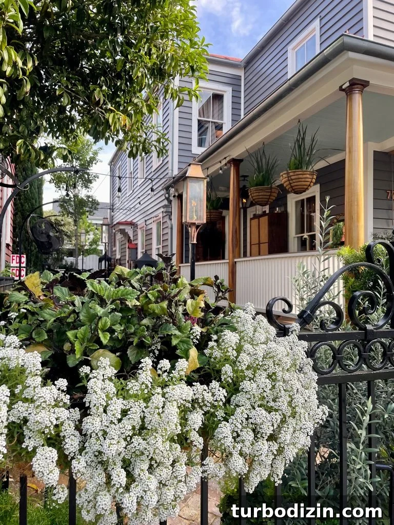 Top 12 Haint Blue Paint Colors for Southern Porches 3 Southbound Restaurant In Charleston South Carolina