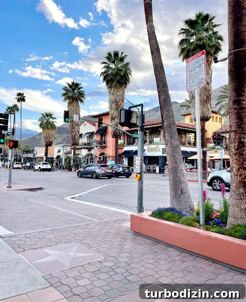 Family Weekend Guide to Palm Springs With Kids 8 Downtown Palm Springs Shopping District At Sunset